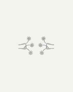 PENDIENTES IVY FLOWER SILVER